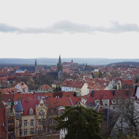 Gruene Insel Lejlighed Quedlinburg Eksteriør billede