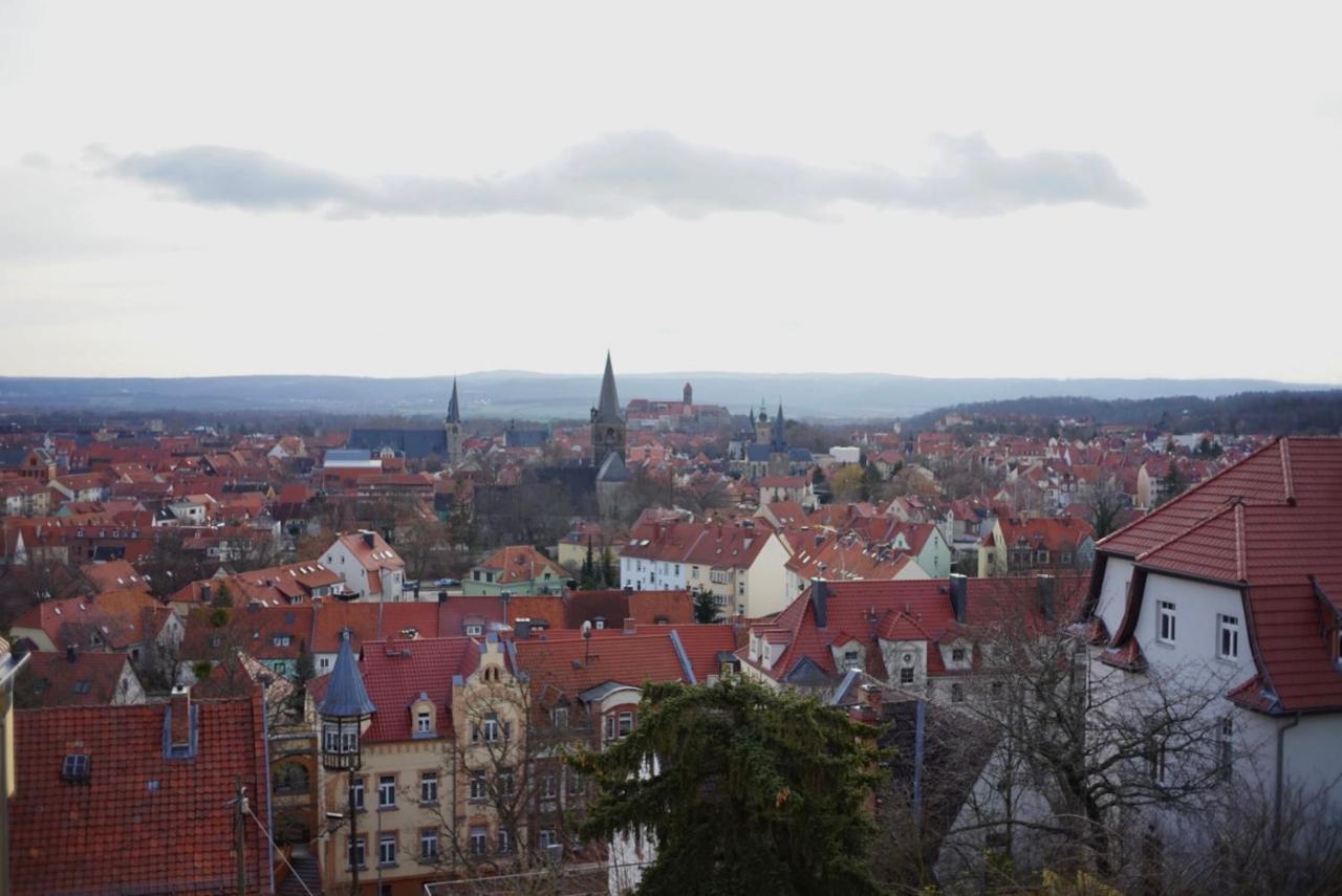 Gruene Insel Lejlighed Quedlinburg Eksteriør billede